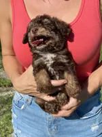 processed/c658fa80-fb7c-4d6a-8ba2-95073e341297/listing/4146d07e-b61a-4dc7-847f-61c585df8621/5640b3cb-6681-4685-824f-0a6d5d0f423b