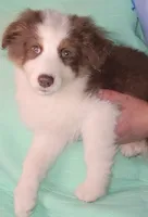 processed/c659217c-10b9-4e7f-9f42-b86cae3a5ac6/listing/bb7fe1f2-5b80-48ee-b64c-aa307426b751/a7e5ab82-5961-4b30-b18a-7a0aead74b7f