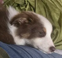 processed/c659217c-10b9-4e7f-9f42-b86cae3a5ac6/listing/bb7fe1f2-5b80-48ee-b64c-aa307426b751/f1d6d52f-4e2d-4ec5-a1f8-1fc3df206640