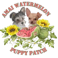 processed/c65d3d26-7932-4fc2-abb2-1c686b62e6b2/facility/961acd48-8b88-4a80-bfc6-cbdd88a9ec65