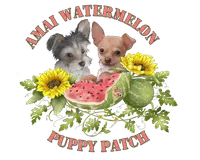 processed/c65d3d26-7932-4fc2-abb2-1c686b62e6b2/facility/961acd48-8b88-4a80-bfc6-cbdd88a9ec65