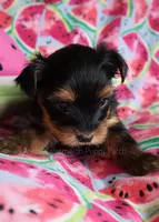 processed/c65d3d26-7932-4fc2-abb2-1c686b62e6b2/listing/208690c9-6bdb-40a8-8aa8-db66254a73bd/4a6b088d-d393-4395-93ea-01c628dd5c97