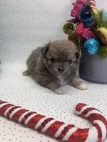 processed/c664b772-7047-4ce4-b268-adef66f46115/listing/18a1c691-c054-4066-a91b-667b0981482a/066cd1c4-c6aa-40b7-b45d-d4342a6b3e3b