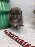 processed/c664b772-7047-4ce4-b268-adef66f46115/listing/18a1c691-c054-4066-a91b-667b0981482a/09922eea-c43b-4329-ac41-b1652e057f25