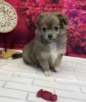 processed/c664b772-7047-4ce4-b268-adef66f46115/listing/18a1c691-c054-4066-a91b-667b0981482a/29d127a0-8333-4f00-a263-e8682c0998a5