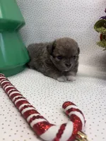 processed/c664b772-7047-4ce4-b268-adef66f46115/listing/18a1c691-c054-4066-a91b-667b0981482a/6a98e216-b0d2-4bc1-8623-ea265ecf986e