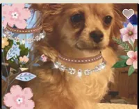 processed/c664b772-7047-4ce4-b268-adef66f46115/listing/18a1c691-c054-4066-a91b-667b0981482a/7310c357-9bb5-4f86-b7c0-91698015e6f7