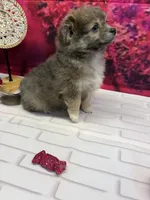 processed/c664b772-7047-4ce4-b268-adef66f46115/listing/18a1c691-c054-4066-a91b-667b0981482a/9f788635-3421-4070-8df1-26b328b1f9cf