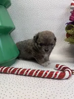 processed/c664b772-7047-4ce4-b268-adef66f46115/listing/18a1c691-c054-4066-a91b-667b0981482a/be7a17cc-6148-4109-b6a0-e73a24ce3d01