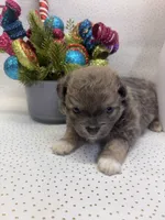 processed/c664b772-7047-4ce4-b268-adef66f46115/listing/18a1c691-c054-4066-a91b-667b0981482a/bf0d9922-bcc5-45b0-b250-9944ceac309d