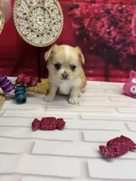 processed/c664b772-7047-4ce4-b268-adef66f46115/listing/c1bbe209-5e9c-4626-becc-f0576cb5a4c1/729a4293-8513-4f7f-86c4-c2f6a442ae16