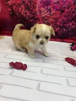 processed/c664b772-7047-4ce4-b268-adef66f46115/listing/c1bbe209-5e9c-4626-becc-f0576cb5a4c1/86116419-3911-4fd1-8980-768d55d8e4be