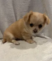 processed/c664b772-7047-4ce4-b268-adef66f46115/listing/c1bbe209-5e9c-4626-becc-f0576cb5a4c1/967be6e7-eeb7-4457-9001-b1fcb2104d6b