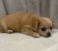 processed/c664b772-7047-4ce4-b268-adef66f46115/listing/c1bbe209-5e9c-4626-becc-f0576cb5a4c1/c7f1f947-6244-4df2-bd90-ecee23c83351