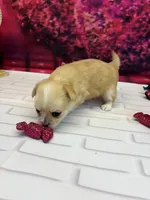 processed/c664b772-7047-4ce4-b268-adef66f46115/listing/c1bbe209-5e9c-4626-becc-f0576cb5a4c1/d90ddaa4-44e8-4c2d-ab85-050d0964542c