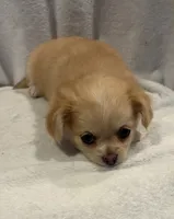 processed/c664b772-7047-4ce4-b268-adef66f46115/listing/c1bbe209-5e9c-4626-becc-f0576cb5a4c1/f3304844-a495-4dda-bcb6-e9d233c4bd96