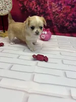 processed/c664b772-7047-4ce4-b268-adef66f46115/listing/c1bbe209-5e9c-4626-becc-f0576cb5a4c1/fe72072f-416d-4687-9339-7b9326ec6677