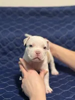 processed/c667eb6c-c886-41b5-8b3a-3cb5afb87b56/listing/4253b7b6-a81f-4ab8-9fe7-d33b94fcef4a/31b730ac-aca7-45f7-a0a1-8f49d2eec09e