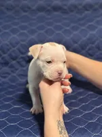 processed/c667eb6c-c886-41b5-8b3a-3cb5afb87b56/listing/4253b7b6-a81f-4ab8-9fe7-d33b94fcef4a/8f02cbab-f76a-440d-897c-1b43951eb252