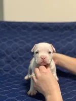 processed/c667eb6c-c886-41b5-8b3a-3cb5afb87b56/listing/9c1b808e-36e6-4079-a090-1d528a272aa2/1afc77e2-9662-41e7-b295-f34cb881e15d