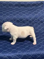 processed/c667eb6c-c886-41b5-8b3a-3cb5afb87b56/listing/9c1b808e-36e6-4079-a090-1d528a272aa2/30fb9c6c-6ecc-49f1-b98e-a28a166075f3