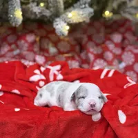 processed/c667eb6c-c886-41b5-8b3a-3cb5afb87b56/listing/a17593dd-443d-4b8e-a17e-48df80fc529a/d6e29ccb-6910-46d1-a5ee-a24702049c05