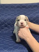 processed/c667eb6c-c886-41b5-8b3a-3cb5afb87b56/listing/a17593dd-443d-4b8e-a17e-48df80fc529a/f57b9bc5-604f-4156-8e97-fecc990e0251