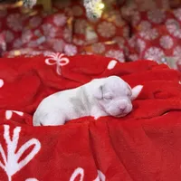 processed/c667eb6c-c886-41b5-8b3a-3cb5afb87b56/listing/b37e4bb5-7ec6-4245-925a-965035d2c9b1/0d67e8f2-f8fa-4aab-af8b-12d17f216b4b