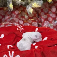 processed/c667eb6c-c886-41b5-8b3a-3cb5afb87b56/listing/b37e4bb5-7ec6-4245-925a-965035d2c9b1/230b0422-e21b-407b-bec3-07db5d4b7e95