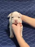 processed/c667eb6c-c886-41b5-8b3a-3cb5afb87b56/listing/b37e4bb5-7ec6-4245-925a-965035d2c9b1/dae75e0b-9c99-479d-9856-9b9b85b9e722