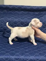 processed/c667eb6c-c886-41b5-8b3a-3cb5afb87b56/listing/b37e4bb5-7ec6-4245-925a-965035d2c9b1/fc1c7602-1be7-4392-885e-bedc8d8a8540