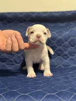 processed/c667eb6c-c886-41b5-8b3a-3cb5afb87b56/listing/cd447b84-14bb-4519-a6bf-ac29b4d776d7/29461a3c-e3ef-48cd-8e3f-c67734fce371