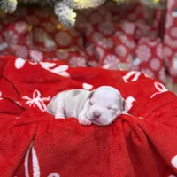 processed/c667eb6c-c886-41b5-8b3a-3cb5afb87b56/listing/cd447b84-14bb-4519-a6bf-ac29b4d776d7/4165f870-c9ac-4d5f-b9d8-68eb3953588a