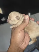 processed/c67895c5-8129-4a78-9aac-6be5f2cf69d0/listing/b2dd2ea5-8ff9-456c-ab12-7c99459a11bc/60bc82e5-519d-437f-af33-003d861804d7