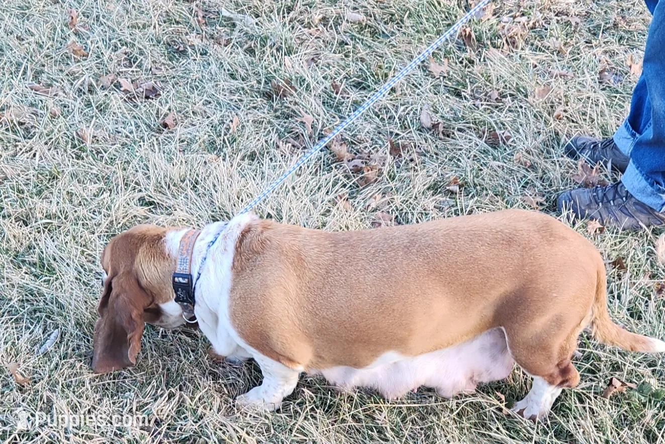 processed/c67c3c19-e7dc-4a5c-bffd-fe4047d896f0/listing/5913d41f-5d86-4ad2-b80c-e06bd279e119/01fd9170-99fb-422a-9de4-c92c1e72502b