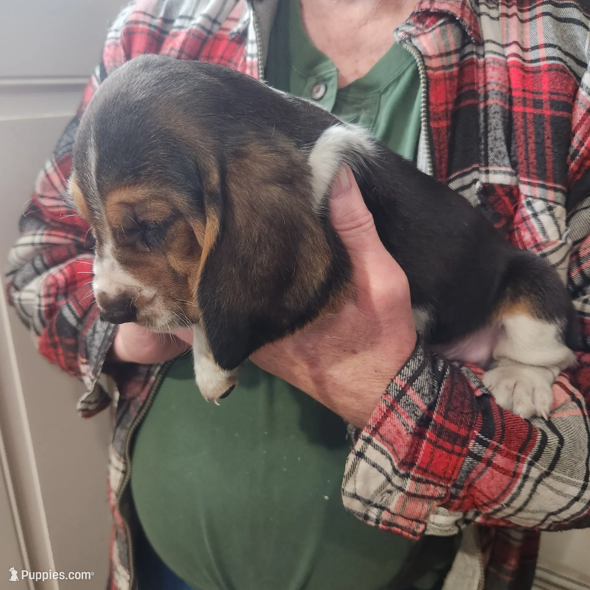 processed/c67c3c19-e7dc-4a5c-bffd-fe4047d896f0/listing/5913d41f-5d86-4ad2-b80c-e06bd279e119/4d6b5e12-517d-4c23-96a1-8d187d57382e