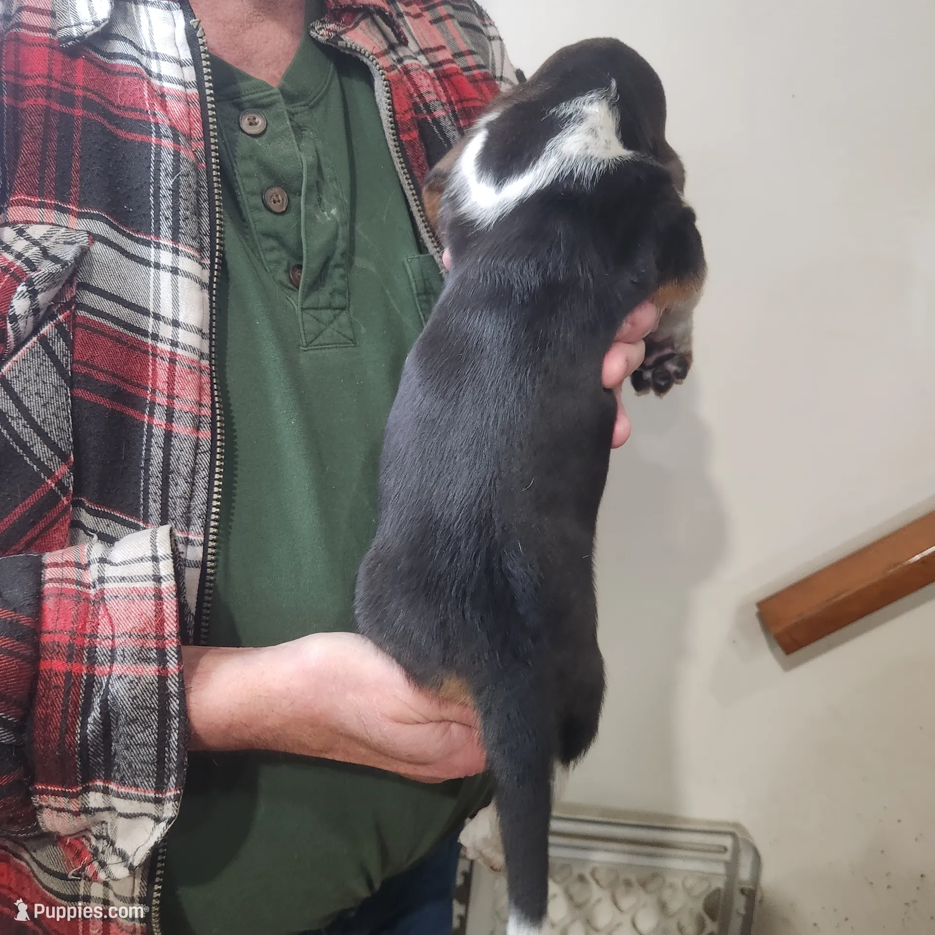 processed/c67c3c19-e7dc-4a5c-bffd-fe4047d896f0/listing/5913d41f-5d86-4ad2-b80c-e06bd279e119/b20d3a41-81bd-489a-824e-27bdf57b4a81