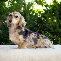 processed/c6977f82-f815-4f18-bed5-b0e3f7919d7d/facility/0d4fdde1-f874-46a3-8764-6ea43a8b297c