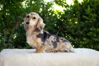 processed/c6977f82-f815-4f18-bed5-b0e3f7919d7d/facility/0d4fdde1-f874-46a3-8764-6ea43a8b297c