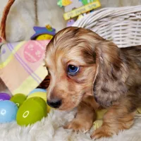 processed/c6977f82-f815-4f18-bed5-b0e3f7919d7d/facility/51c12950-da86-44a9-844c-88b06d99d052