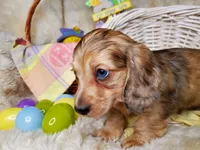 processed/c6977f82-f815-4f18-bed5-b0e3f7919d7d/facility/51c12950-da86-44a9-844c-88b06d99d052