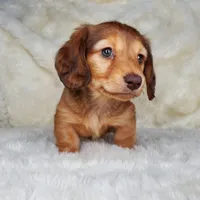 processed/c6977f82-f815-4f18-bed5-b0e3f7919d7d/facility/5d33be20-95d1-43a2-886f-c3450d61dc68