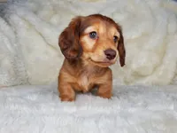 processed/c6977f82-f815-4f18-bed5-b0e3f7919d7d/facility/5d33be20-95d1-43a2-886f-c3450d61dc68