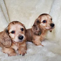 processed/c6977f82-f815-4f18-bed5-b0e3f7919d7d/facility/e704dee5-46a3-42e1-8ce1-7d2728a21319