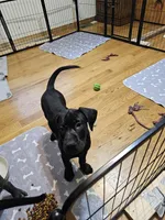 processed/c69e2975-3b55-47be-898b-28fcf5f47f57/listing/b757067c-b4c6-442e-892e-32a25ef2b925/5ba229d9-6993-42fc-9261-31e4b8dde9c8