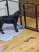 processed/c69e2975-3b55-47be-898b-28fcf5f47f57/listing/b757067c-b4c6-442e-892e-32a25ef2b925/5c4d5ed5-a8ae-45bd-b4c1-e7babd47482c