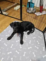 processed/c69e2975-3b55-47be-898b-28fcf5f47f57/listing/b757067c-b4c6-442e-892e-32a25ef2b925/7913f1ab-f599-4117-b1a1-b83ab2198b64