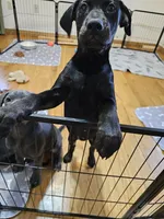 processed/c69e2975-3b55-47be-898b-28fcf5f47f57/listing/b757067c-b4c6-442e-892e-32a25ef2b925/b56ca55e-4572-44ee-a319-886f538b8e8d