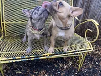 processed/c6a2fb45-166e-494e-978e-b54b9d995209/facility/1a8c8b69-5533-4282-adf9-9a3316cc90f9