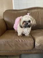 processed/c6a2fb45-166e-494e-978e-b54b9d995209/facility/5f115642-62eb-4021-b9a3-0d7ee600ec0d